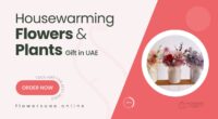 Best Housewarming Flowers & Plants to Gift in UAE