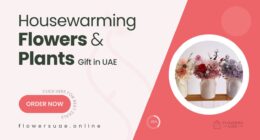 Best Housewarming Flowers & Plants to Gift in UAE